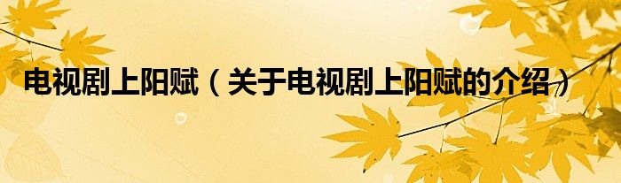 电视剧上阳赋（关于电视剧上阳赋的介绍）