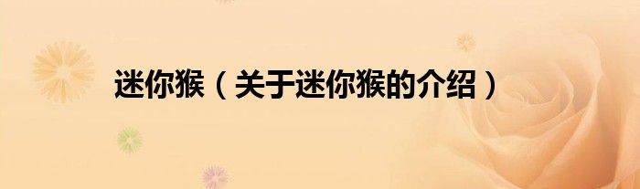 迷你猴（关于迷你猴的介绍）