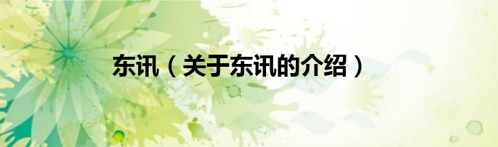 东讯（关于东讯的介绍）