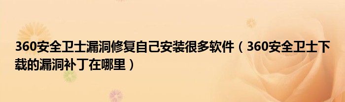 360安全卫士漏洞修复自己安装很多软件（360安全卫士下载的漏洞补丁在哪里）