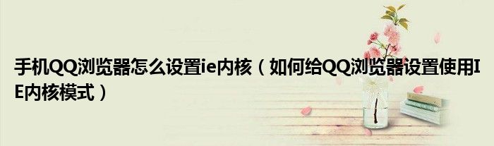 手机QQ浏览器怎么设置ie内核（如何给QQ浏览器设置使用IE内核模式）