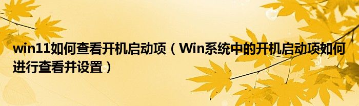 win11如何查看开机启动项（Win系统中的开机启动项如何进行查看并设置）