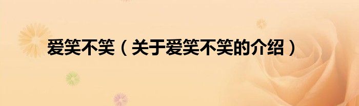 爱笑不笑（关于爱笑不笑的介绍）