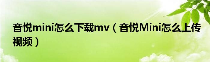 音悦mini怎么下载mv（音悦Mini怎么上传视频）