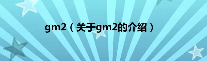 gm2（关于gm2的介绍）