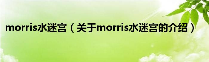 morris水迷宫（关于morris水迷宫的介绍）