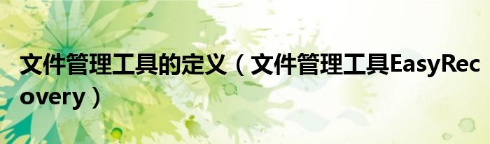 文件管理工具的定义（文件管理工具EasyRecovery）