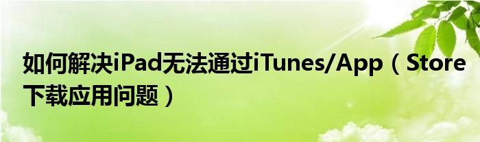 如何解决iPad无法通过iTunes/App（Store下载应用问题）