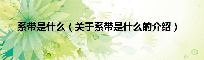 系带是什么（关于系带是什么的介绍）