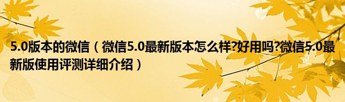 5.0版本的微信（微信5.0最新版本怎么样?好用吗?微信5.0最新版使用评测详细介绍）