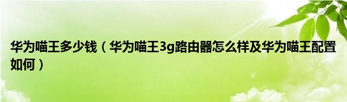 华为喵王多少钱（华为喵王3g路由器怎么样及华为喵王配置如何）