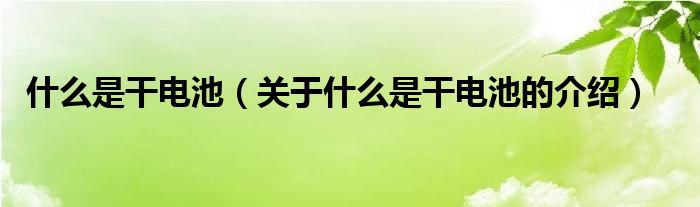 什么是干电池（关于什么是干电池的介绍）