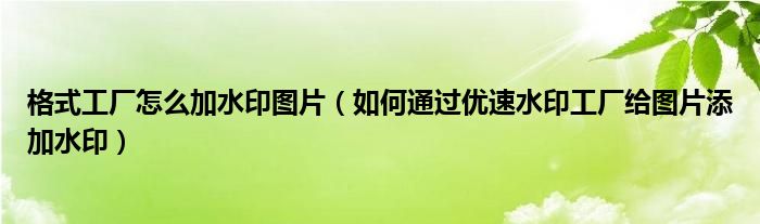 格式工厂怎么加水印图片（如何通过优速水印工厂给图片添加水印）
