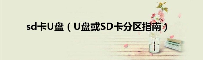 sd卡U盘（U盘或SD卡分区指南）