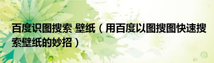 百度识图搜索 壁纸（用百度以图搜图快速搜索壁纸的妙招）