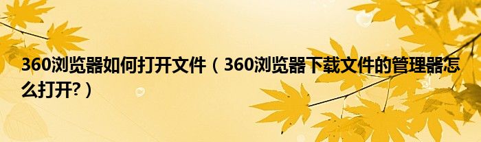 360浏览器如何打开文件（360浏览器下载文件的管理器怎么打开?）