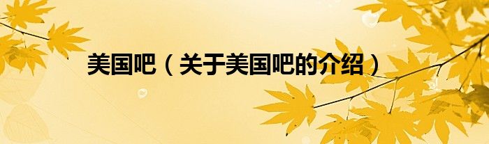 美国吧（关于美国吧的介绍）