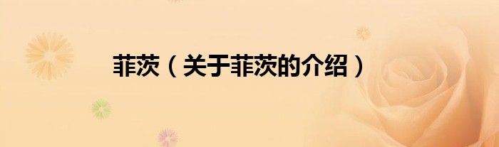 菲茨（关于菲茨的介绍）
