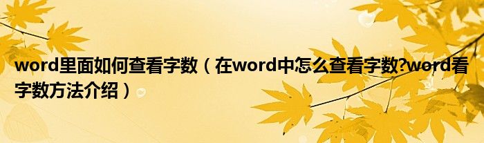 word里面如何查看字数（在word中怎么查看字数?word看字数方法介绍）