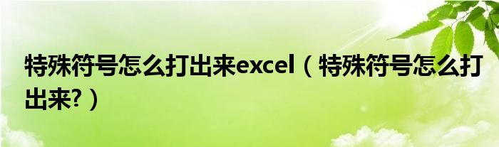 特殊符号怎么打出来excel（特殊符号怎么打出来?）