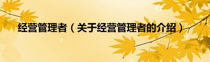 经营管理者（关于经营管理者的介绍）