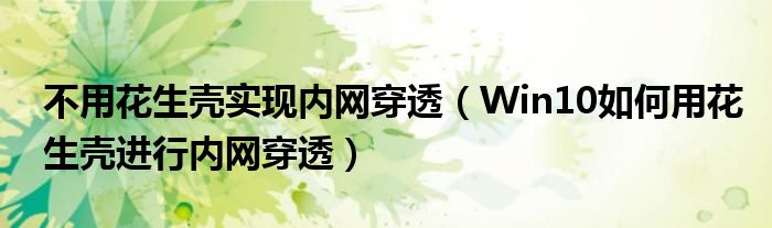 不用花生壳实现内网穿透（Win10如何用花生壳进行内网穿透）