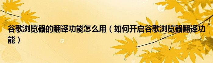 谷歌浏览器的翻译功能怎么用（如何开启谷歌浏览器翻译功能）