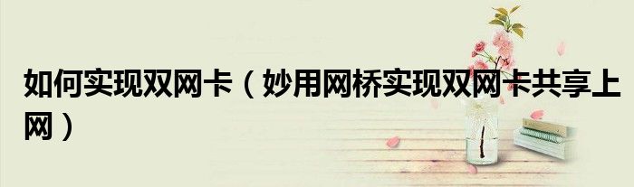 如何实现双网卡（妙用网桥实现双网卡共享上网）