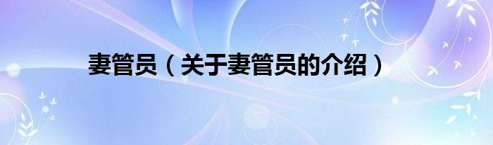 妻管员（关于妻管员的介绍）
