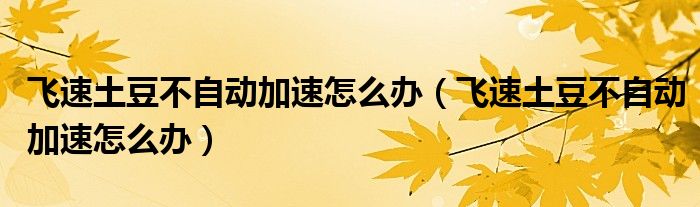 飞速土豆不自动加速怎么办（飞速土豆不自动加速怎么办）