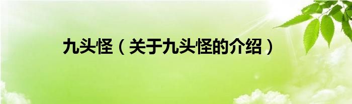 九头怪（关于九头怪的介绍）