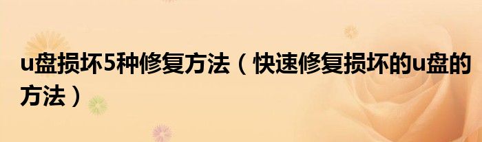 u盘损坏5种修复方法（快速修复损坏的u盘的方法）
