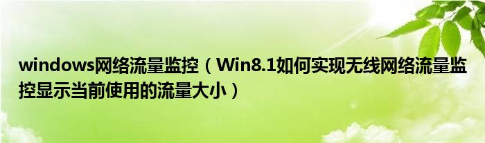windows网络流量监控（Win8.1如何实现无线网络流量监控显示当前使用的流量大小）
