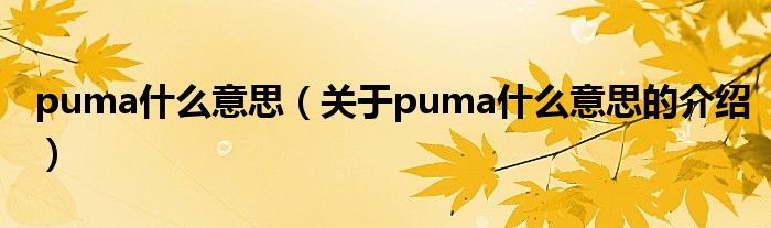 puma什么意思（关于puma什么意思的介绍）