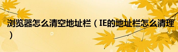 浏览器怎么清空地址栏（IE的地址栏怎么清理）