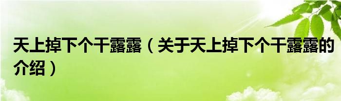 天上掉下个干露露（关于天上掉下个干露露的介绍）