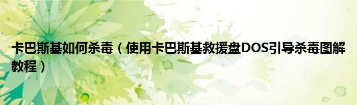 卡巴斯基如何杀毒（使用卡巴斯基救援盘DOS引导杀毒图解教程）