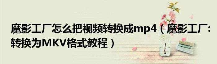 魔影工厂怎么把视频转换成mp4（魔影工厂:转换为MKV格式教程）
