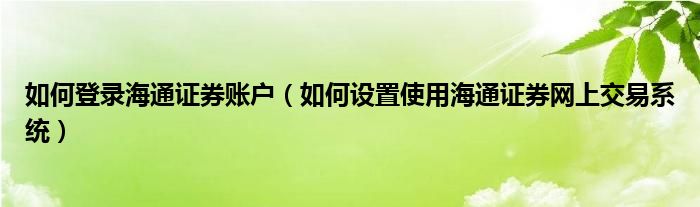 如何登录海通证券账户（如何设置使用海通证券网上交易系统）