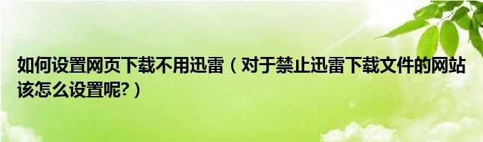 如何设置网页下载不用迅雷（对于禁止迅雷下载文件的网站该怎么设置呢?）