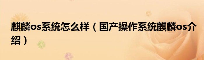 麒麟os系统怎么样（国产操作系统麒麟os介绍）