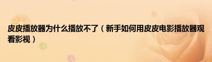 皮皮播放器为什么播放不了（新手如何用皮皮电影播放器观看影视）