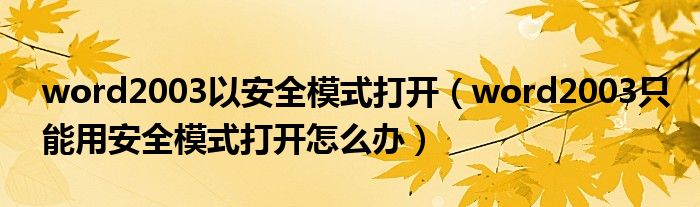 word2003以安全模式打开（word2003只能用安全模式打开怎么办）