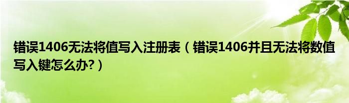 错误1406无法将值写入注册表（错误1406并且无法将数值写入键怎么办?）