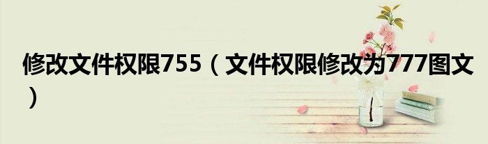 修改文件权限755（文件权限修改为777图文）