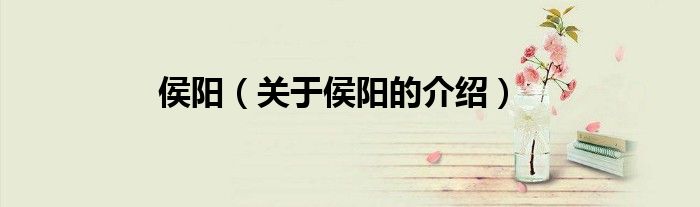 侯阳（关于侯阳的介绍）