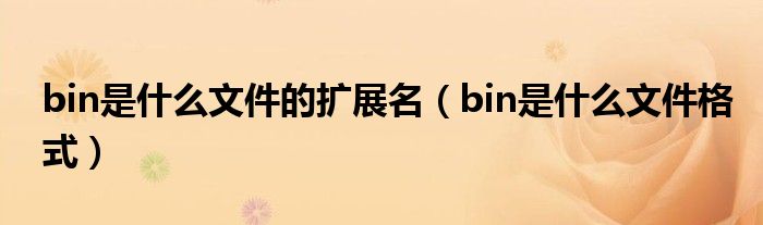 bin是什么文件的扩展名（bin是什么文件格式）