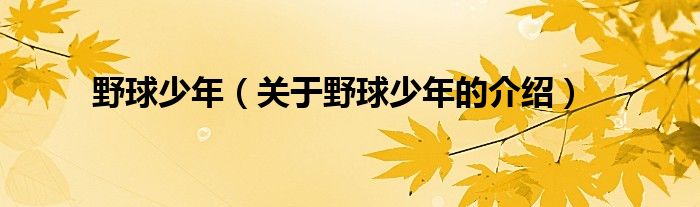 野球少年（关于野球少年的介绍）