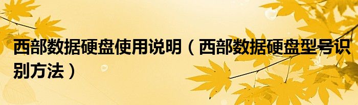 西部数据硬盘使用说明（西部数据硬盘型号识别方法）