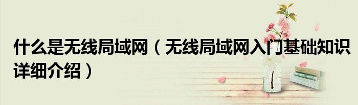 什么是无线局域网（无线局域网入门基础知识详细介绍）